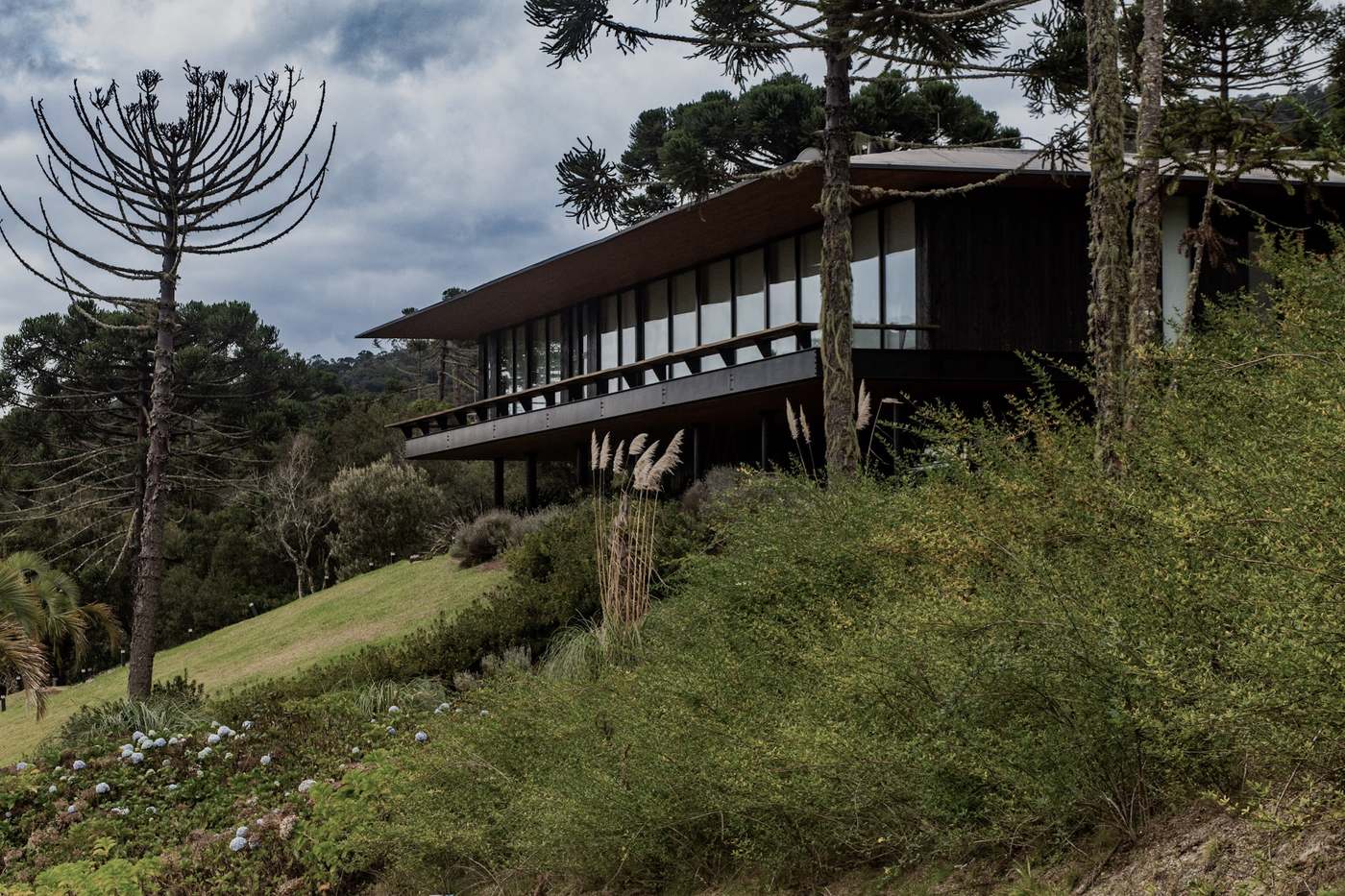 Casa edificada entre araucárias