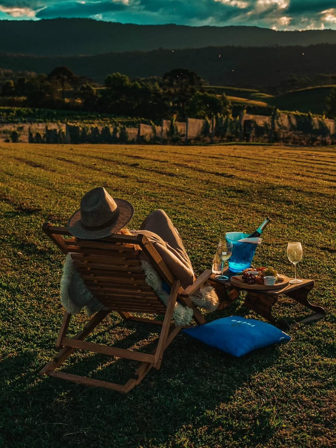 Piquenique nos vinhedos